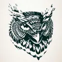 Halcon