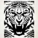 Tigre de bengashi