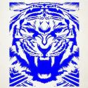 Tigre de bengashi