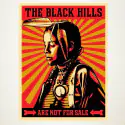 The Black hills