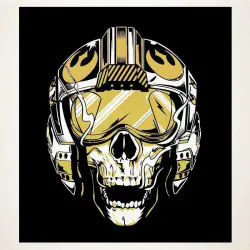 Flying skull