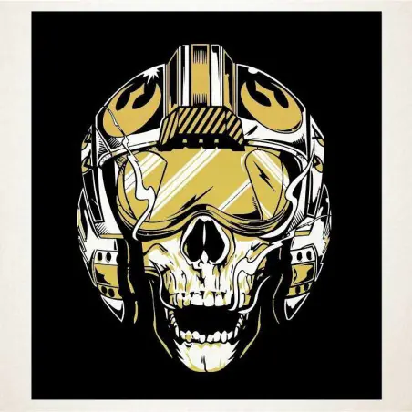 Flying skull