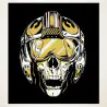 Flying skull