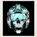 Flying skull