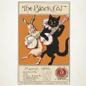The Black Cat