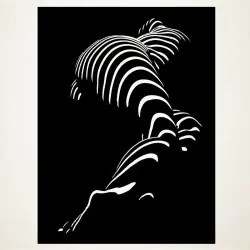 Perfil-torso