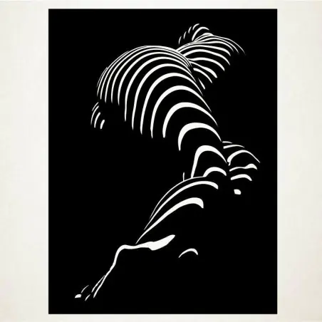 Perfil-torso