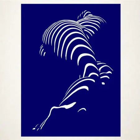 Perfil-torso
