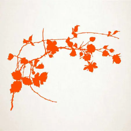Rosal