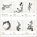Editor de plantas