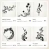 Editor de plantas
