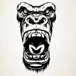 Kong