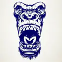 Kong