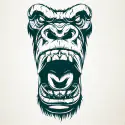 Kong