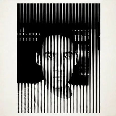 Retratos en vinilo adhesivo totalmente personalizables. Un regalo unico. Desde 30000$
