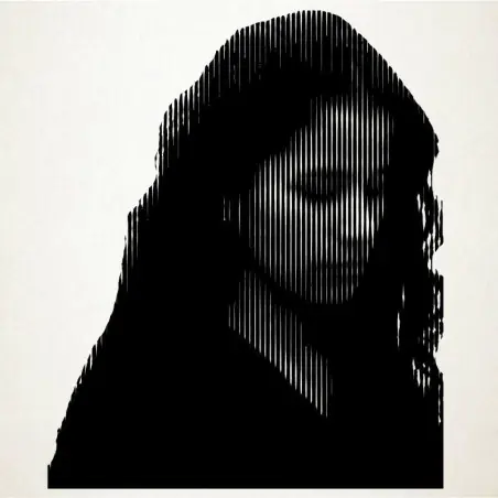 Retratos en vinilo adhesivo totalmente personalizables. Un regalo unico. Desde 30000$