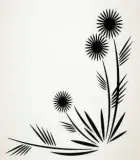 Plantas